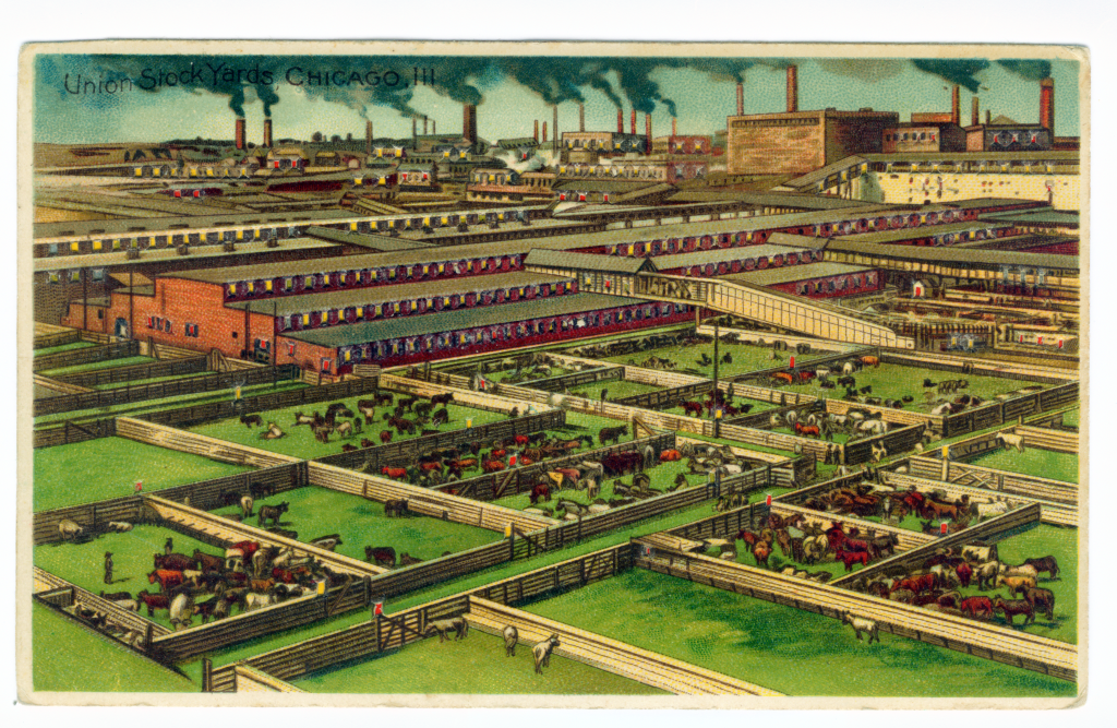 HTL_2406L_Koehler_Union_Stock_Yards_Chicago_F Chicago-style hot dog union stockyards
