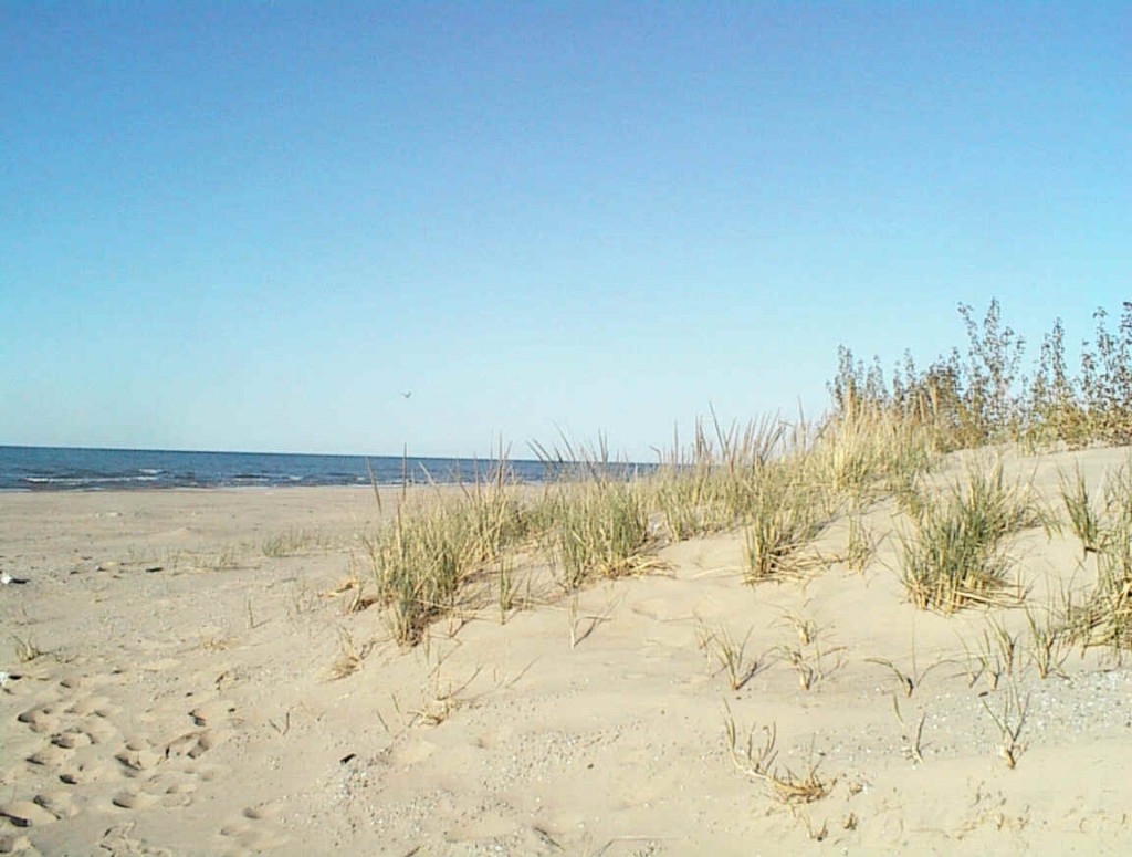 Miller beach Indiana