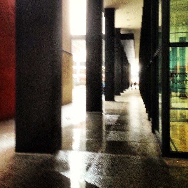 photo mies van der rohe federal center columns modernist architecture