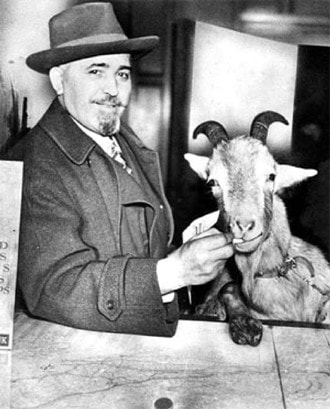 curse of the billy goat billy sianis murphy