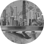 custom tours and content